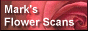 Mark's logo