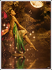 KJ, Fairy collage